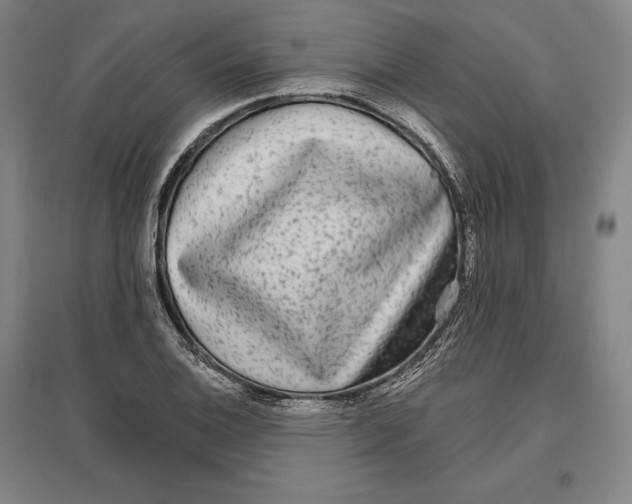 X0000096631124200802261158