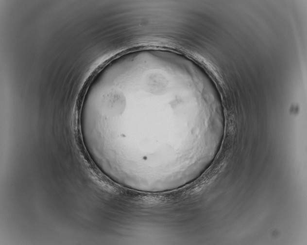 X0000096631125200802261158