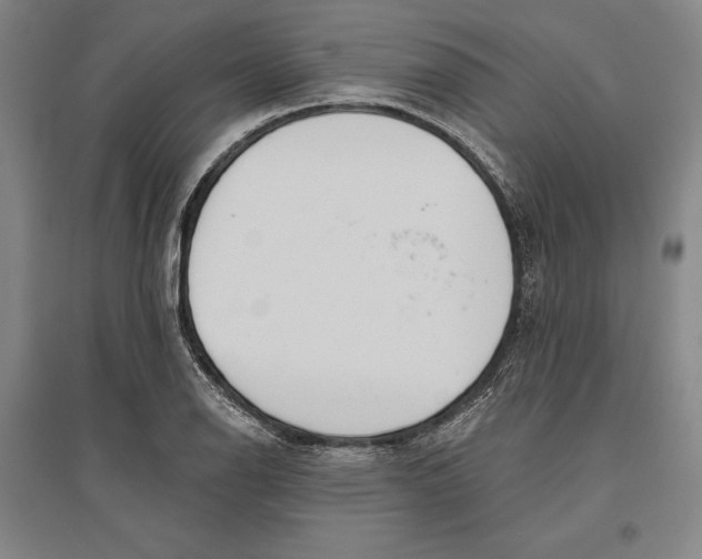 X0000096631126200802261158