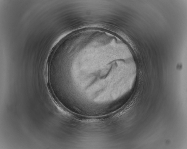 X0000096631127200802261158