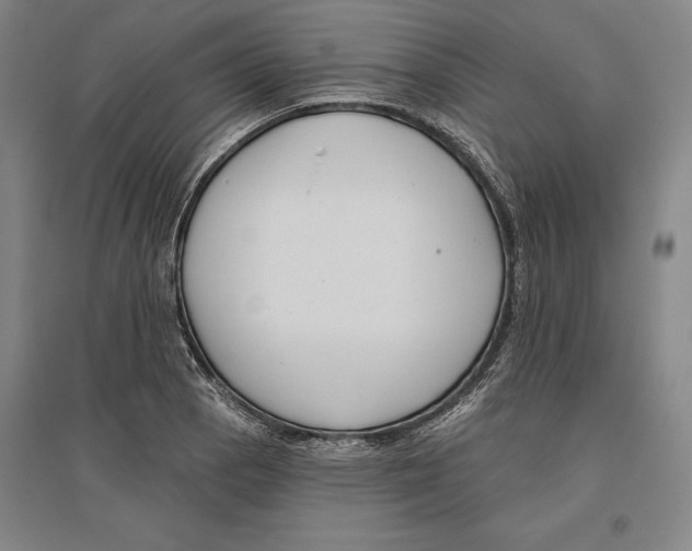 X0000096631129200802261158