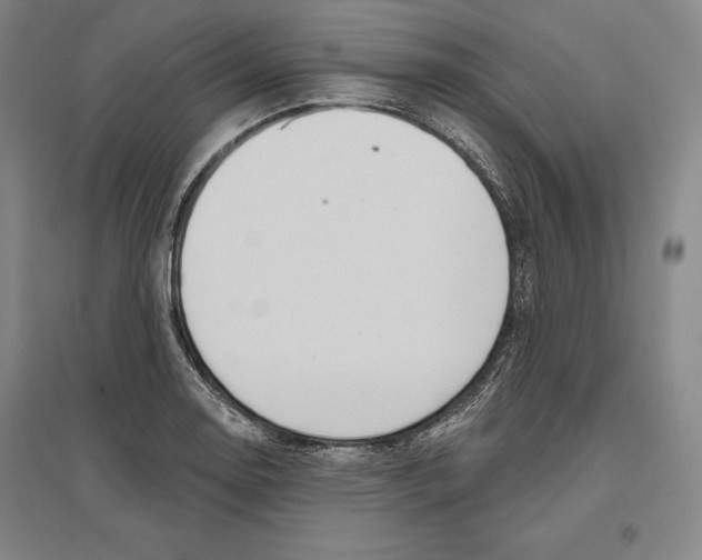 X0000096631130200802261158