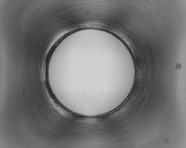 X0000096631131200802261158