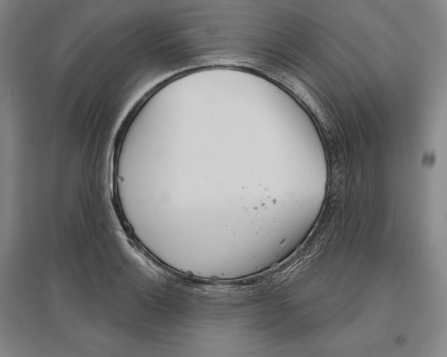 X0000096631132200802261158