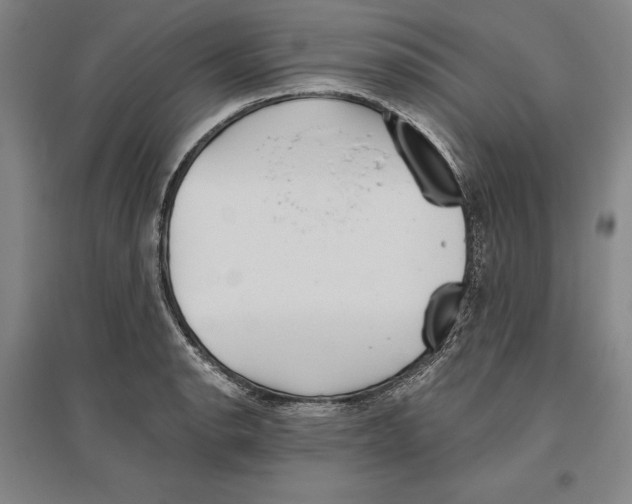 X0000096631134200802261158