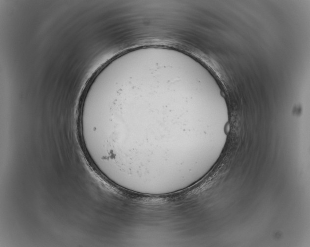 X0000096631135200802261158