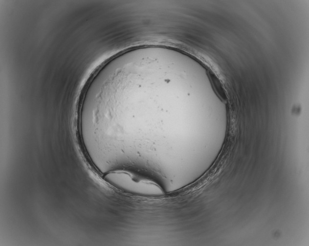 X0000096631136200802261158
