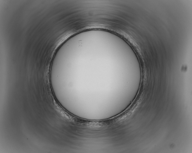 X0000096631137200802261158