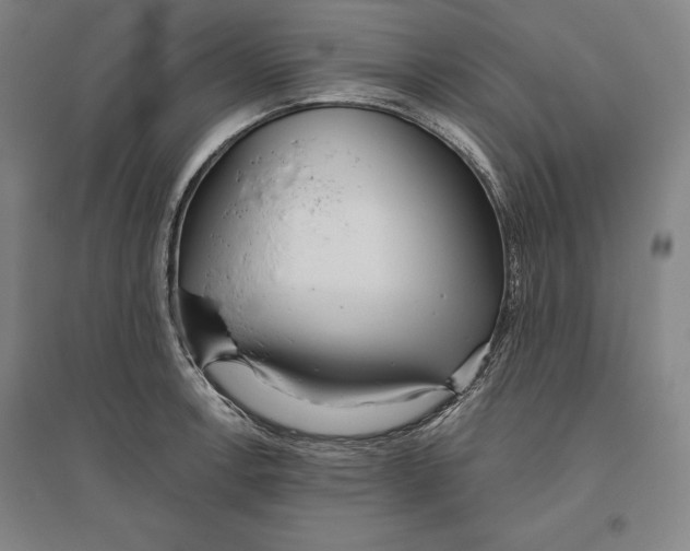 X0000096631138200802261158