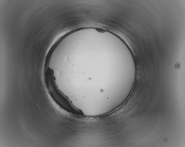 X0000096631139200802261158