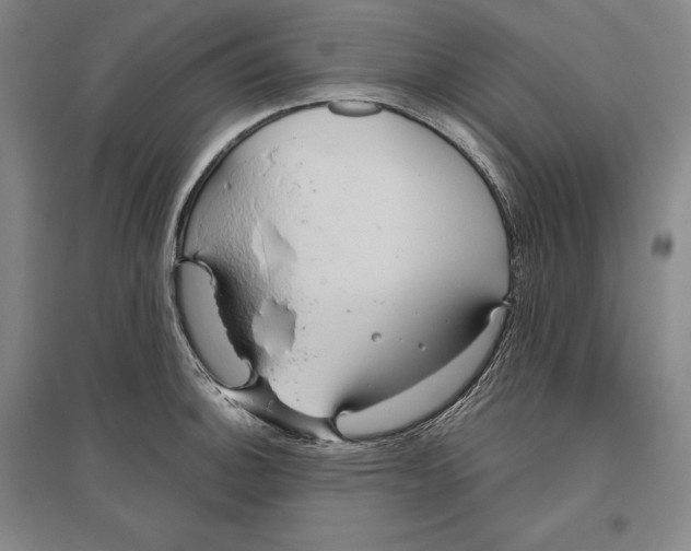 X0000096631140200802261158