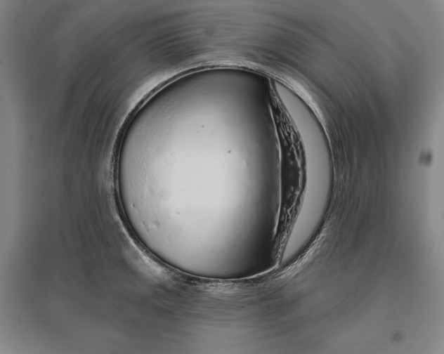 X0000096631141200802261158