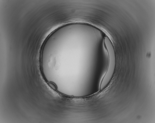 X0000096631142200802261158