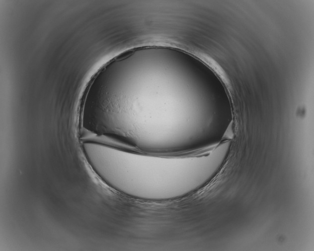 X0000096631144200802261158