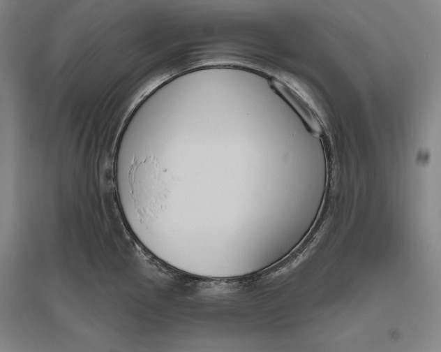 X0000096631145200802261158