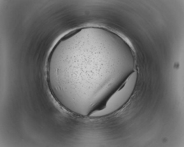X0000096631148200802261158