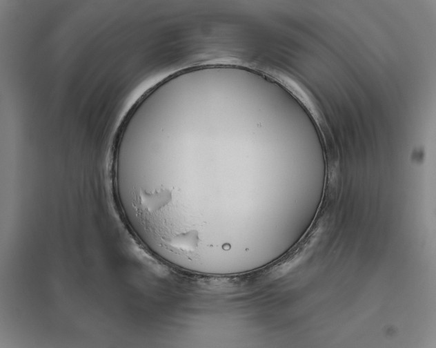 X0000096631149200802261158