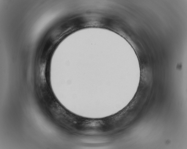 X0000096631150200802261158