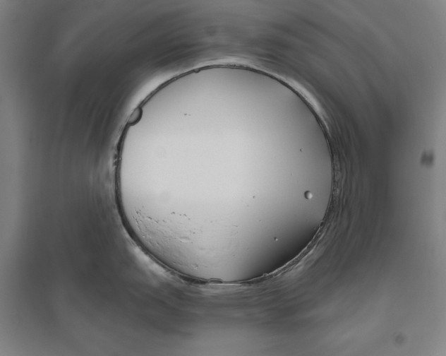 X0000096631151200802261158