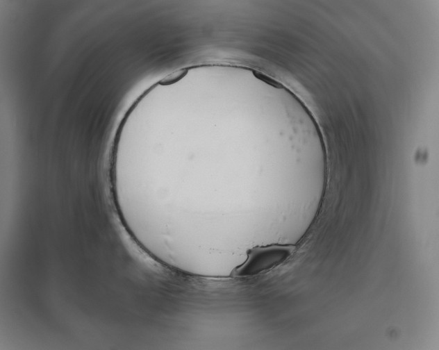 X0000096631152200802261158