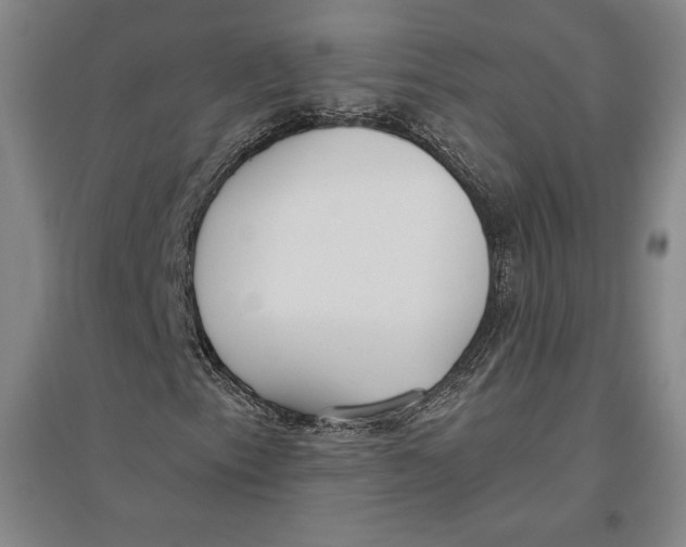 X0000096631153200802261158