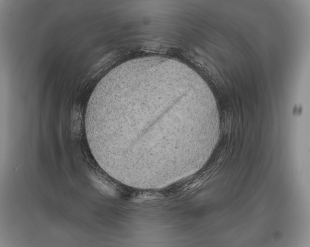 X0000096631154200802261158
