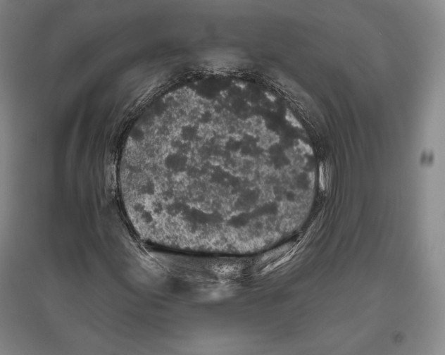 X0000096631155200802261158