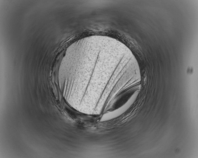 X0000096631156200802261158