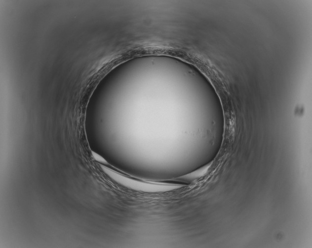 X0000096631157200802261157