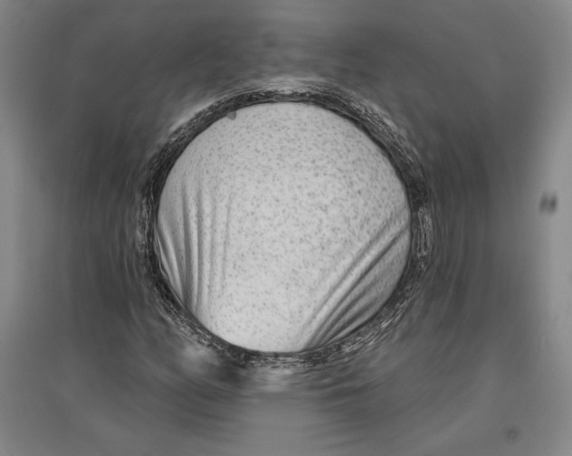 X0000096631158200802261157