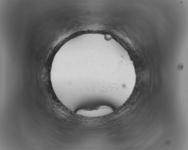 X0000096631160200802261157
