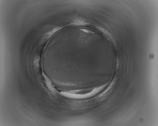 X0000096631161200802261157