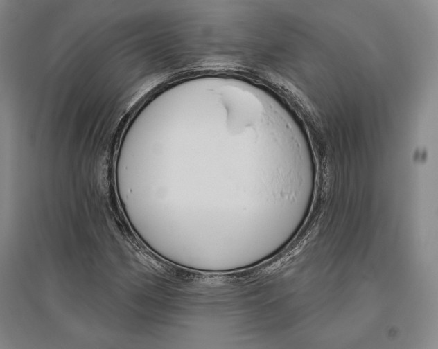 X0000096631162200802261157