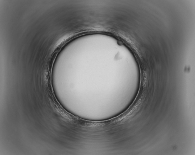 X0000096631163200802261157