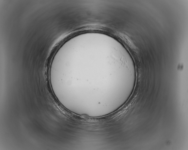 X0000096631164200802261157