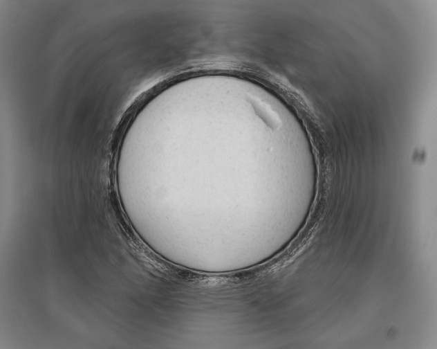 X0000096631166200802261157