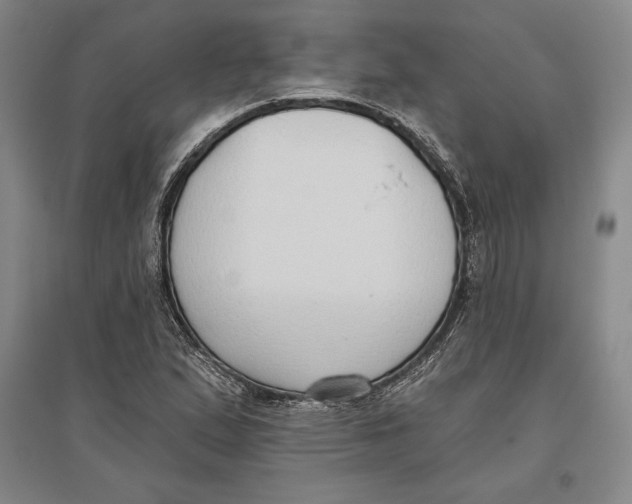 X0000096631167200802261157