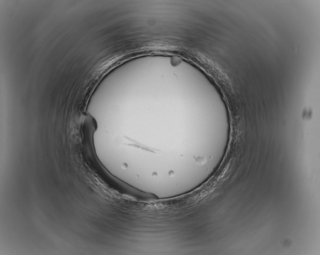 X0000096631169200802261157