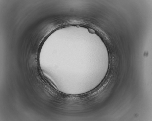 X0000096631170200802261157