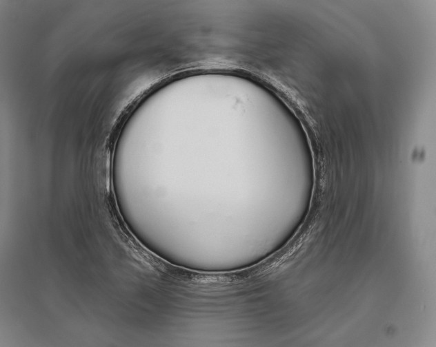 X0000096631171200802261157