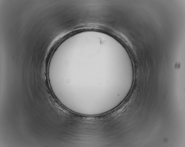 X0000096631172200802261157