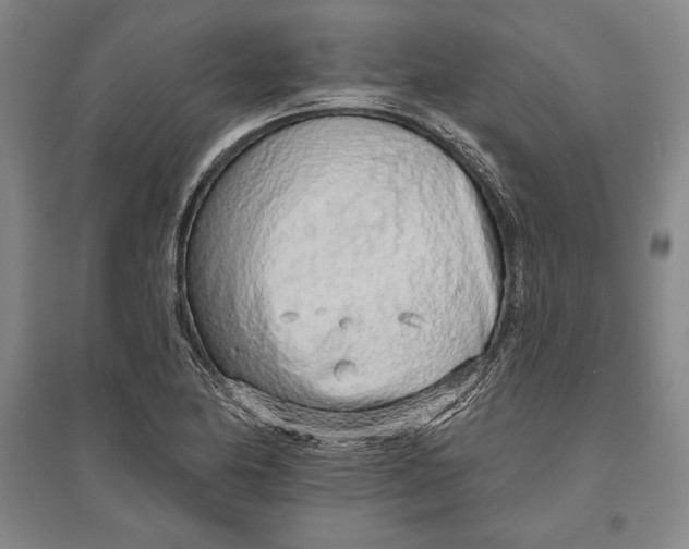 X0000096631174200802261157