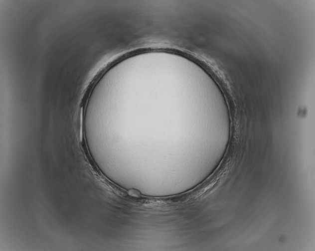X0000096631175200802261157