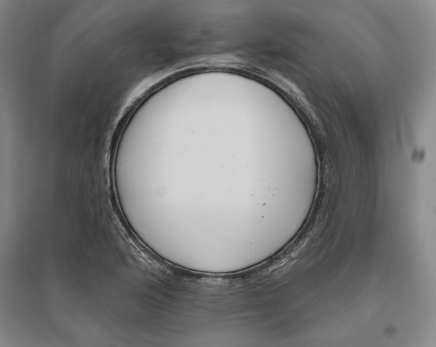 X0000096631176200802261157