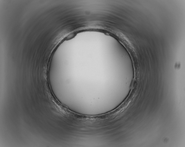 X0000096631177200802261157