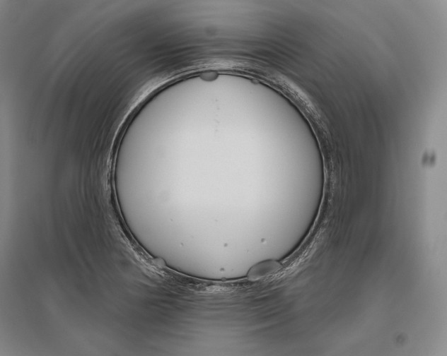 X0000096631178200802261157
