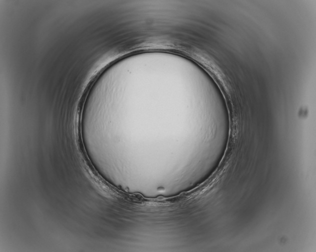 X0000096631179200802261157