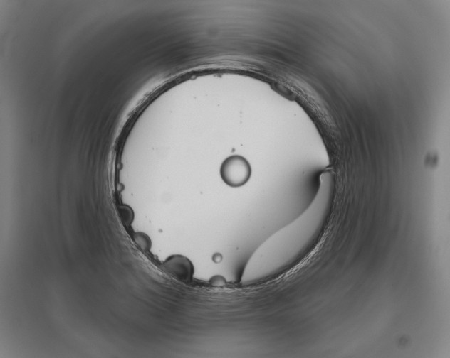 X0000096631180200802261157
