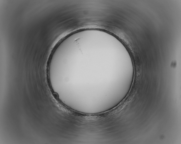 X0000096631181200802261157