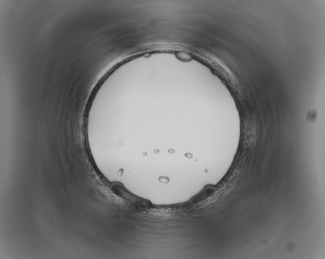 X0000096631182200802261157